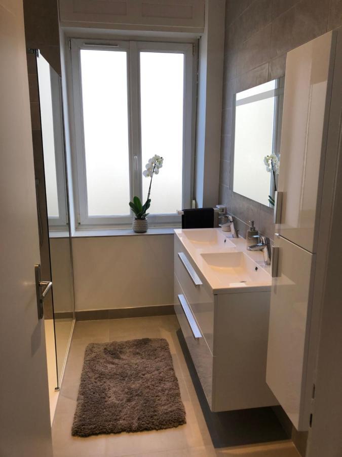 Appartement De Prestige Au Centre Climatise Avec Jardin Prive Colmar Exterior photo