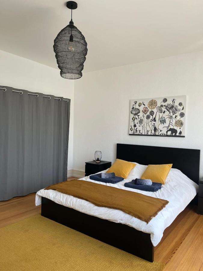 Appartement De Prestige Au Centre Climatise Avec Jardin Prive Colmar Exterior photo