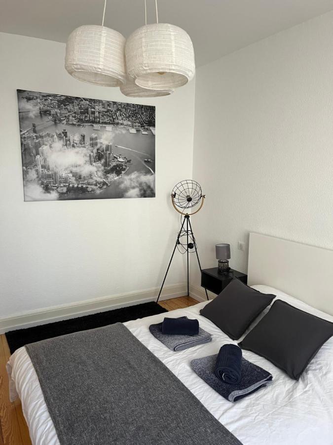 Appartement De Prestige Au Centre Climatise Avec Jardin Prive Colmar Exterior photo